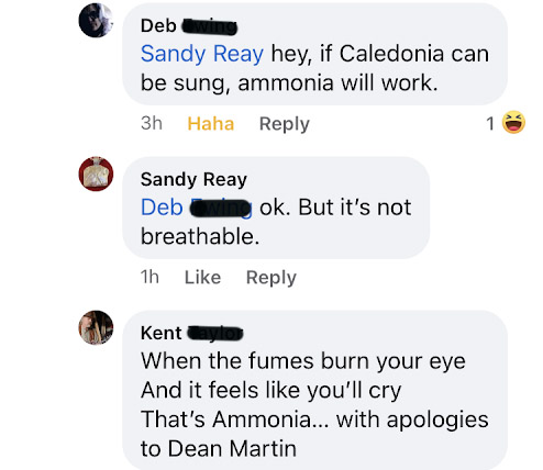 Deb's post: hey, if Caledonia can be sung, ammonia will work. Sandy's response: ok. But it's not breathable. Kent's post: When the fumes burn your ey and it feels like you'll cry, That Ammonia ... with apologies to Dean Martin